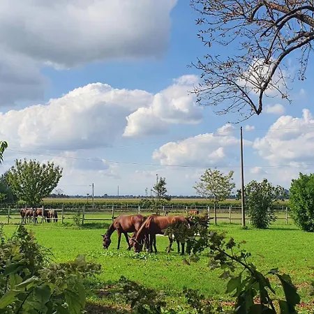 Borgo Rurale San Salvador-casa Del Maestro Torre di Mosto