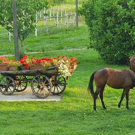Borgo Rurale San Salvador-casa Del Maestro * Torre di Mosto